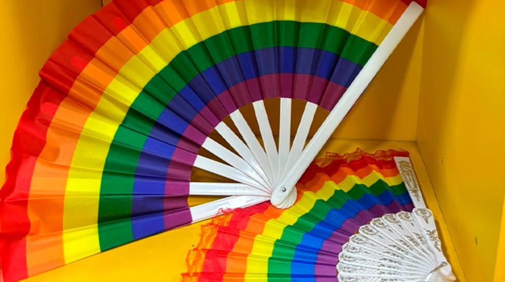 Capa da notícia: Conferência Distrital dos Direitos das Pessoas LGBTQIA+ será realizada em junho de 2025